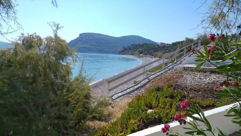 Iason Hotel Apartments Giosonas Екстериор снимка